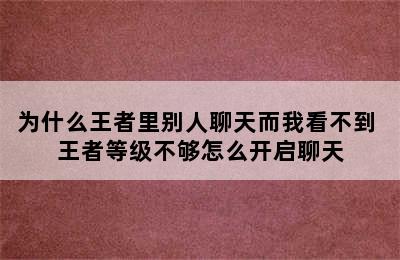 为什么王者里别人聊天而我看不到 王者等级不够怎么开启聊天